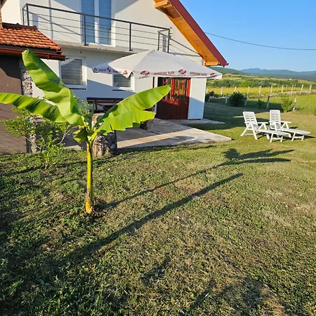 Melek Vila